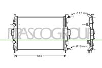 PRASCO RN032R005 - Radiador, refrigeración del motor