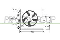 PRASCO SK320R005 - Radiador, refrigeración del motor