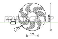 PRASCO VG055F006 - Ventilador, refrigeración del motor