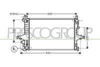 PRASCO VV042R002 - Radiador, refrigeración del motor