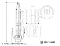 BLUE PRINT ADBP990048 - Cubierta, caja filtro de aceite