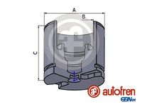 AUTOFREN SEINSA D025256 - Émbolo, pinza del freno