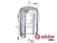 AUTOFREN SEINSA D025254 - Émbolo, pinza del freno