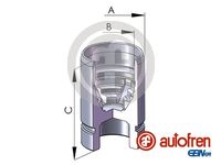 AUTOFREN SEINSA D02589 - Émbolo, pinza del freno