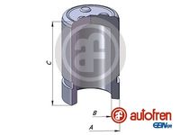 AUTOFREN SEINSA D025343 - Émbolo, pinza del freno