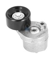 DT Spare Parts 13.43566 - Tensor de correa, correa poli V