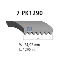 DT Spare Parts 4.81421 - Correa trapecial poli V