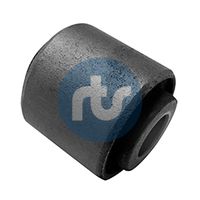 RTS 017-01149 - Suspensión, Brazo oscilante