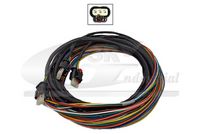 3RG 30107 - Kit reparación cables, sensor asistente estacionamiento