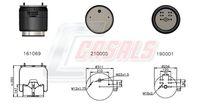 CASALS B1124 - Fuelle, suspensión neumática