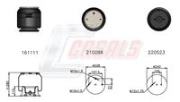 CASALS B1167 - Fuelle, suspensión neumática