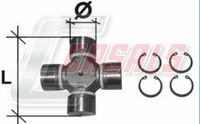 CASALS CR14 - Articulación, árbol longitudinal