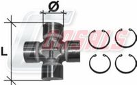 CASALS CR21 - Articulación, árbol longitudinal