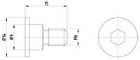 HELLA PAGID 8DZ 355 209-011 - Tornillo, disco de freno