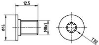 HELLA PAGID 8DZ 355 209-021 - Tornillo, disco de freno