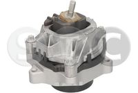 STC T454806 - Soporte, motor