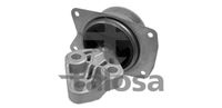 TALOSA 61-15678 - Soporte, motor