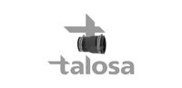 TALOSA 66-18845 - Tubo flexible de aire de sobrealimentación