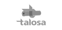 TALOSA 66-20343 - Tubo flexible de aire de sobrealimentación