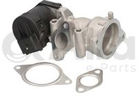 Alfa e-Parts AF08713 - Válvula EGR