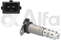 Alfa e-Parts AF11100 - Válvula control, ajuste de levas