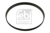 FEBI BILSTEIN 01742 - Junta tórica