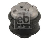 FEBI BILSTEIN 01940 - Soporte, motor