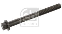 FEBI BILSTEIN 05954 - Tornillo de culata