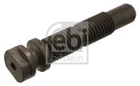 FEBI BILSTEIN 06439 - Perno de ballesta