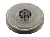 FEBI BILSTEIN 06667 - Cojinetes, diferencial