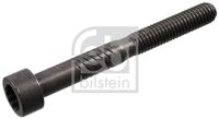 FEBI BILSTEIN 100729 - Tamaño de rosca exterior: M8 x 1,25<br>Long. de rosca [mm]: 48<br>Perfil cabeza tornillo/tuerca: dentado interior<br>Superficie: fosfatada<br>Long. tornillo bajo cabeza [mm]: 90<br>Peso [kg]: 0,036<br>