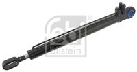 FEBI BILSTEIN 101173 - Cilindro de basculamiento, cabina