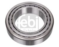 FEBI BILSTEIN 101272 - Ancho [mm]: 47<br>Diámetro interior [mm]: 100<br>Diámetro exterior [mm]: 165<br>Tipo de cojinete: Rodamiento de rodillos cónicos<br>Lado de montaje: Eje trasero izquierda<br>Lado de montaje: interior<br>Lado de montaje: exterior<br>Lado de montaje: Eje trasero, derecha<br>Peso [kg]: 3,891<br>