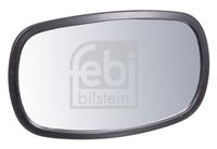 FEBI BILSTEIN 101391 - Retrovisor de rampa