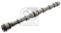 FEBI BILSTEIN 101996 - Código de motor: F1CE3481E (F30DT)<br>Medida de rosca: M12 x 31.8mm<br>Material: Acero<br>Tipo de válvula: para válvulas de escape<br>