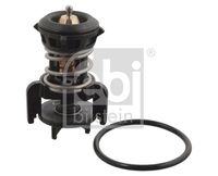 FEBI BILSTEIN 106524 - Termostato, refrigerante