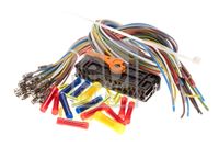 FEBI BILSTEIN 107065 - Kit reparación cables, puerta - febi Plus