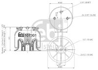 FEBI BILSTEIN 107301 - Fuelle, suspensión neumática