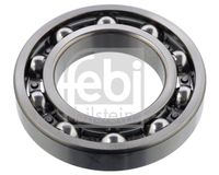 FEBI BILSTEIN 107447 - Cojinete, caja de cambios manual