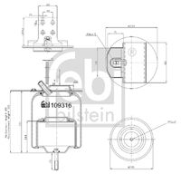 FEBI BILSTEIN 109316 - Fuelle, suspensión neumática