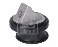 FEBI BILSTEIN 12509 - Soporte, motor