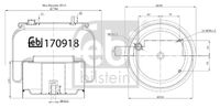 FEBI BILSTEIN 170918 - Fuelle, suspensión neumática