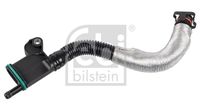 FEBI BILSTEIN 171008 - Tubo flexible, ventilación del cárter - febi Plus