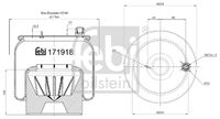 FEBI BILSTEIN 171918 - Fuelle, suspensión neumática