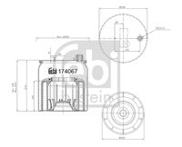 FEBI BILSTEIN 174067 - Fuelle, suspensión neumática