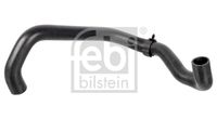 FEBI BILSTEIN 174416 - Diámetro interior [mm]: 30,5<br>Tubo de refrigeración: de distribuidor a radiador motor<br>Lado de montaje: arriba<br>Peso [kg]: 0,227<br>