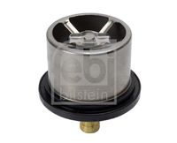 FEBI BILSTEIN 176580 - Termostato, refrigerante