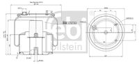 FEBI BILSTEIN 176793 - Fuelle, suspensión neumática