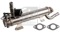 FEBI BILSTEIN 176884 - Elemento enfriador, reciclaje gases escape