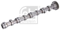 FEBI BILSTEIN 176931 - Referencia artículo par: 176931<br>Lado de montaje: Lado de escape<br>Peso [kg]: 2,235<br>